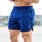 Sports Shorts, Running, Quick-drying - KiwiBrands