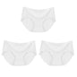 3Pcs Seamless Underwear Silk For Women Panties Lingerie Sexy