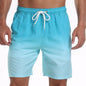 Men's Casual Sports Shorts Fashion Vacation Beach Swimming Trunks